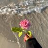 emy_8645