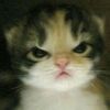 mariwqw