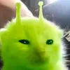 greennapusangalien