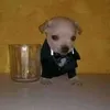 davizin_da027