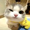 _lalaaadumpii_