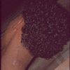 inashariif8