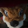 bucee_ishere