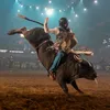 Epic Mounts