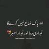 anum.saleem0