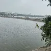pietydaily