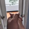 scorpio_girl9764