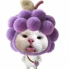 x.chien0