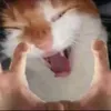 khoi20100000000000000000