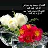 hamid6909720482375