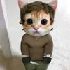 bernaskkkj