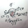 paracotta_77