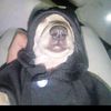 dnkkme26_