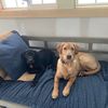 HarperandMowgli4