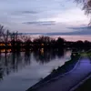 Rodri48
