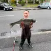 davidimparatpemirage