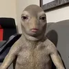 laakso_