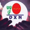 .dxn229