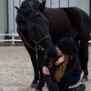 nk.horsess