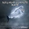 ahmed6111111111123456