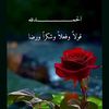 asma9241fbm