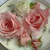 aminabouhamidi847