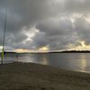 will_pollett78