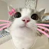 yzz_nhu06