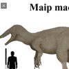 iheartdinos5687