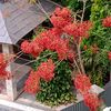 prem10249