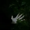 ecclstgrl