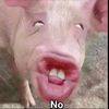 ramonesparza753