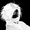 kw1spychick3n