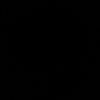 rochasusana7
