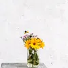 ummu_nan