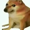 usermzqj77350d