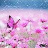 maryambat381
