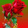 xussen.cabdi.jore
