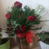 shnoahmad88
