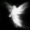 dronoko42