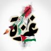 المصمم الأنيق ١