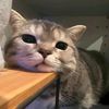 htaminboo