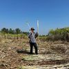 smarnfarmer