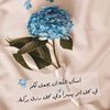 farahmahmod55