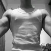 plush_339