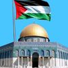 mohamed.ali2575
