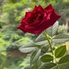 supreme_33167