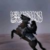 saad72845