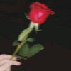 user45044803022732