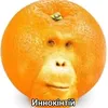 wert86858
